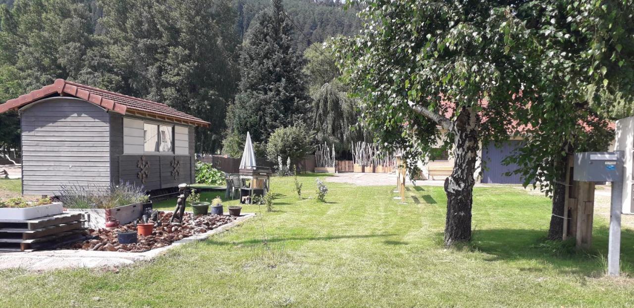 Gites, Les Jonquilles, Le Sagard Et Bungalow Les Brimbelles, Nature Et Detente La Houssiere Exterior photo